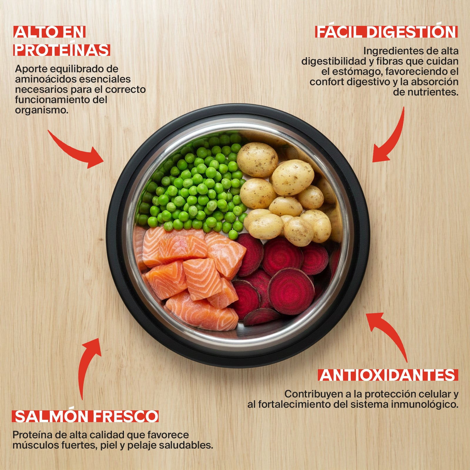 Salmón Premium Grain Free 2KG