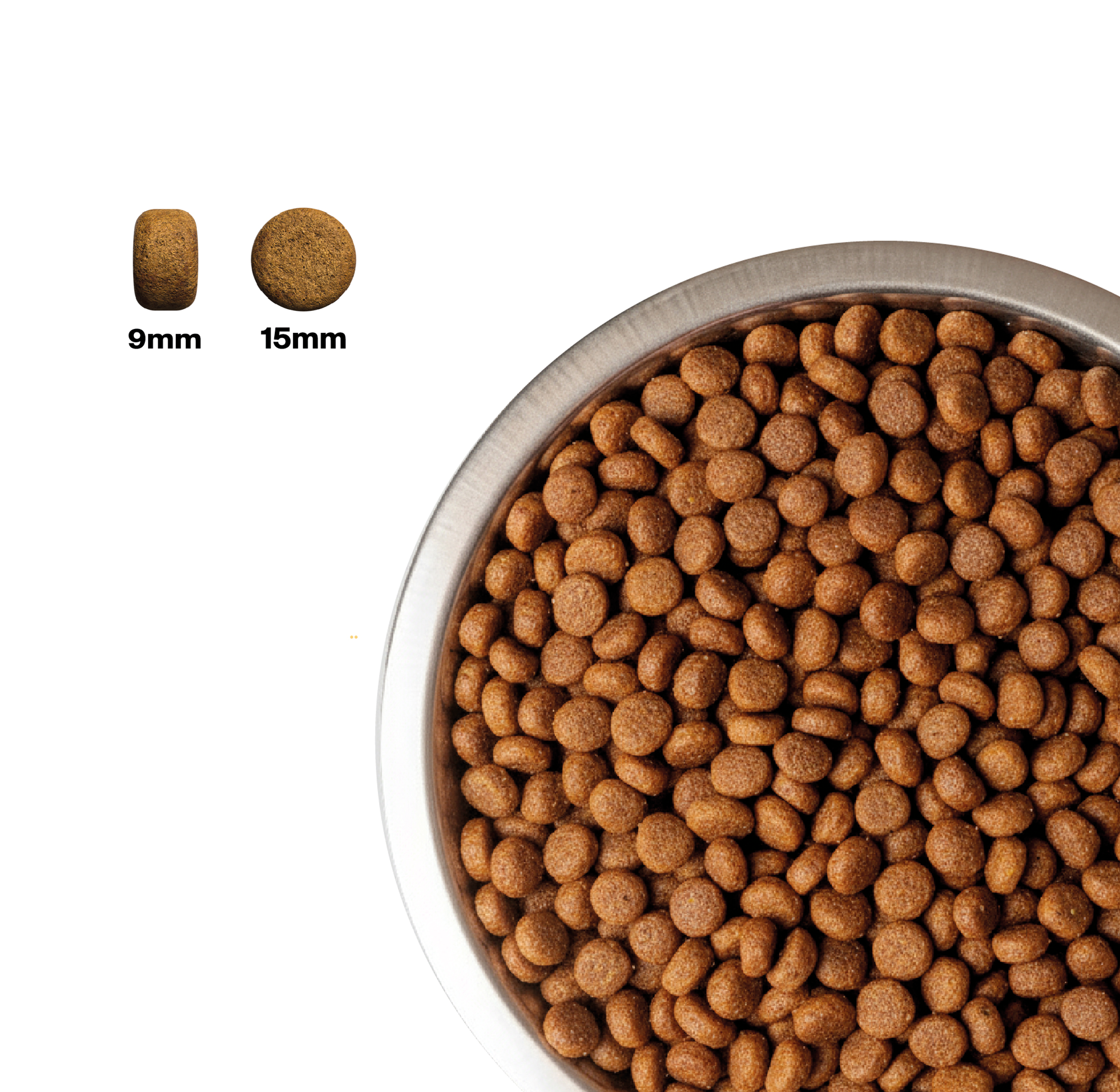 Salmón Premium Grain Free